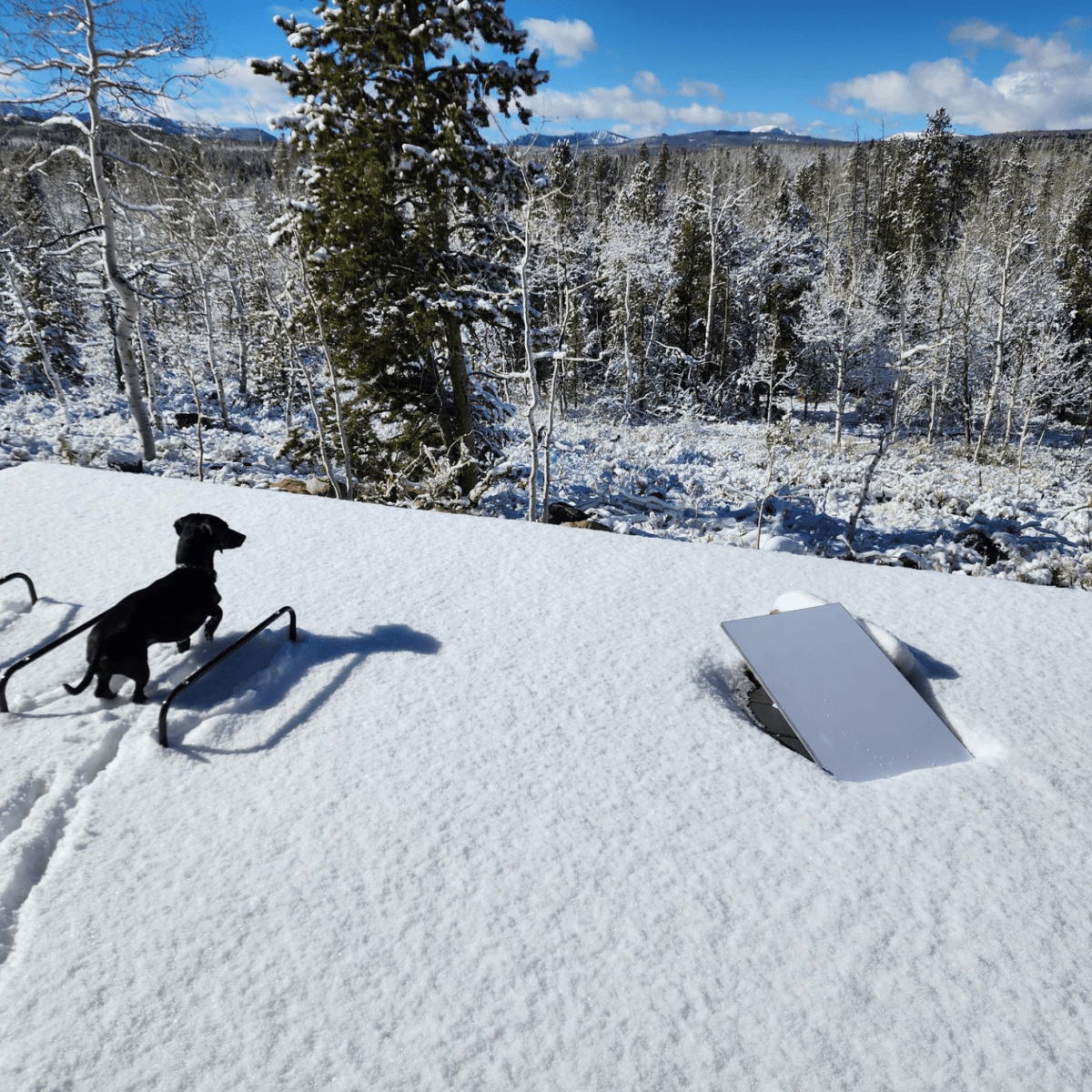 Starlink: A Lifeline When Winter Storms&nbsp;Arrive