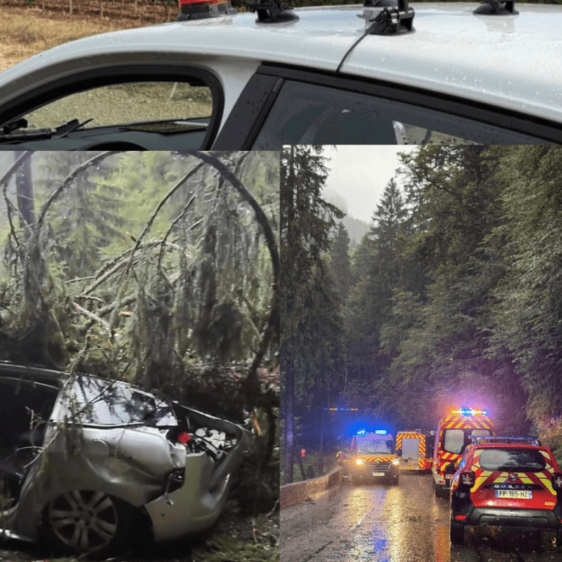 Starlink Mini’s Lifesaving Triumph: Family Freed from Fallen Tree Nightmare in French&nbsp;Alps